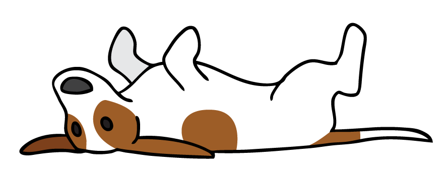 Namber Laying on her Back