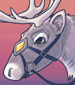 Noble Steed